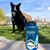 Diane Stalzle Beall Torok's profile image