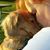 Lori Blevins's profile image