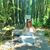 Renee Ravencraft Bierbaum's profile image