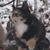 Ardith Williams's profile image