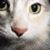 Ruth Hersey's profile image