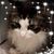 Christine Fogarty Baker's profile image