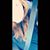 Lizvet Salgado's profile image
