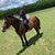 Alexandra Muzzarelli's profile image