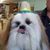 Nicole Adamo's profile image