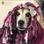 Beth Gerrish Renzetti's profile image