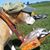 Tina Patton's profile image