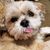 Marcia Rosenthal's profile image