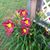 Kaye Lyons's profile image