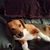 Wendy Watts's profile image