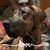 Billi Daringer Sparacino's profile image