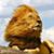 Serjio Leon's profile image