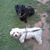 Sharon Thomas Ross's profile image