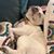 Michelle Sanders's profile image