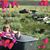 Jutta Barthelmes Peterson's profile image