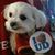 Jeffery Alan Gonya's profile image