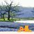 Debbie Harrell-Thies's profile image