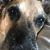 Leise Ruddy's profile image