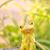 Qurida Pearson's profile image