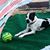 Nancy Africano's profile image