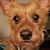 Barbara Lange Ross's profile image