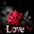 Erlinda Contreras's profile image