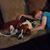 Cindy Reuter Crosswhite's profile image