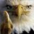 Randy Williams's profile image