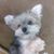 Melissa Reese Cruthirds's profile image