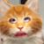 Ashley Moore's profile image