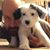 Curt Dalgaard's profile image