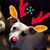 DruAnn LeClair's profile image