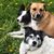 Lynnora Salonia Beaulier's profile image