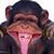 Tom Proctor's profile image