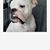 Melissa Miner's profile image