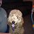 Leisa N'MarkBankhead's profile image