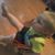 Alison Jane Hanners's profile image