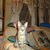 Ruth Bigelow's profile image