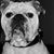 Ronda Kratz-Spiker's profile image