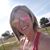 Dawn Neff's profile image