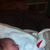 Leonard Phoebe Housley's profile image