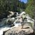 Shelley Richey's profile image