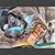 Roberto Javier Lopez's profile image