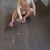 Dena Lee Collins's profile image
