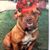 Jackie Elliott Hill's profile image