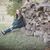Kristen Burkeen's profile image