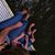 Elaine Rubio's profile image