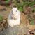 Jerry C Hulsey's profile image