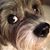Roupjackmaggie Saputo's profile image