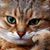 Natalie Andrews's profile image